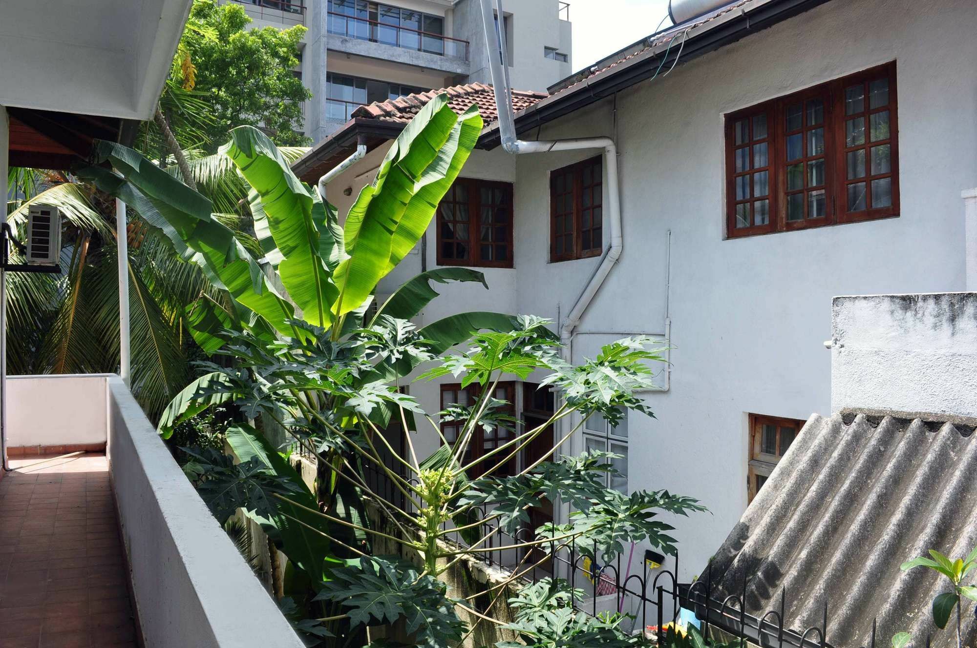 Olu Colombo Villa מראה חיצוני תמונה